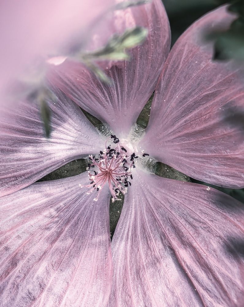 Фотография автора Юра Кладухин