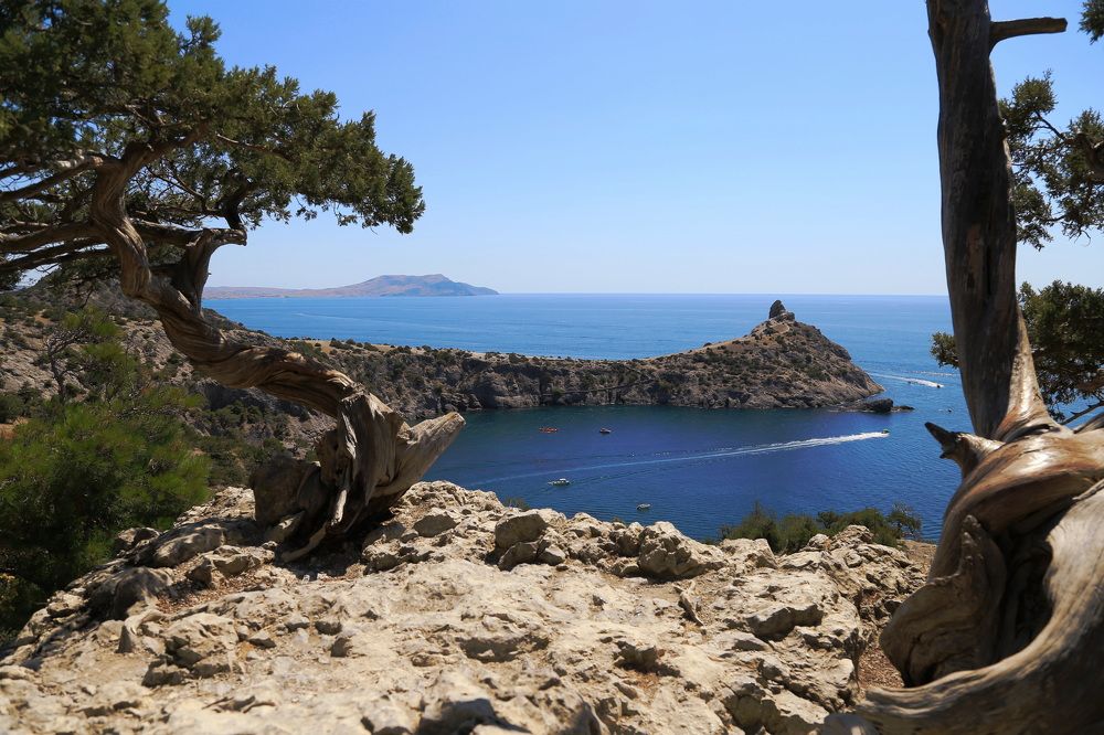 Фотография автора Ирина Якущенко