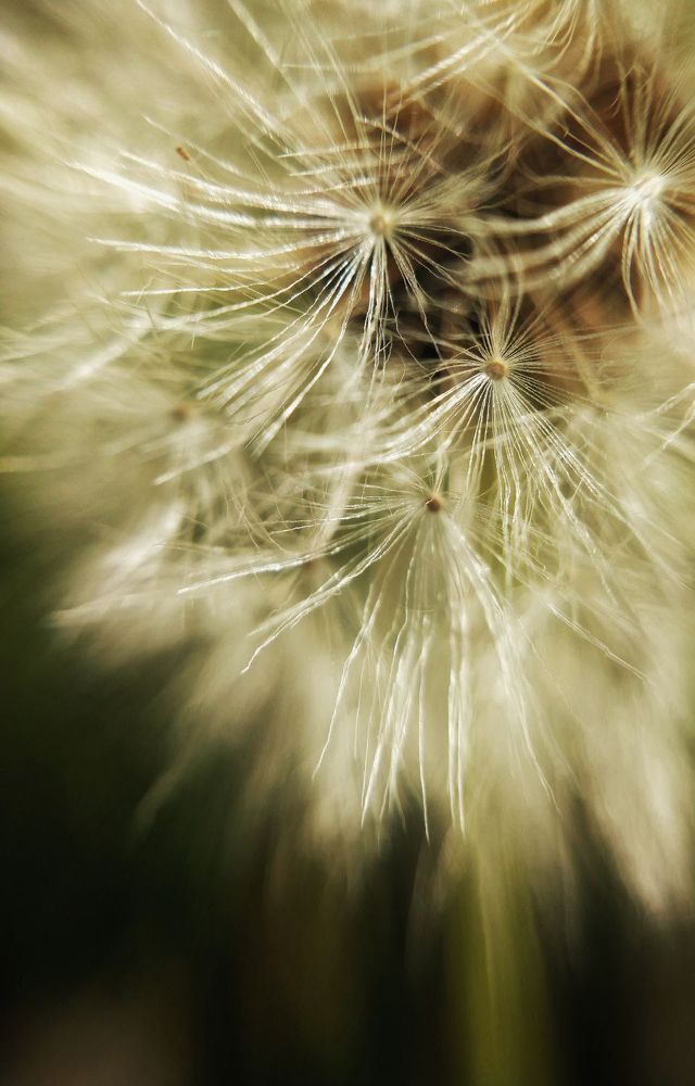 Photograph by Маннанова Ляйсан