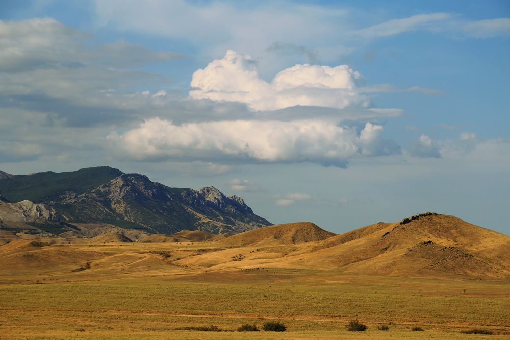Фотография автора Ирина Якущенко