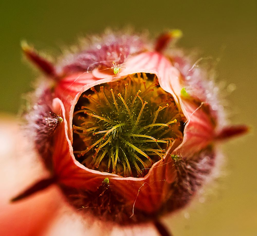 Photograph by Aleksei Kazakov