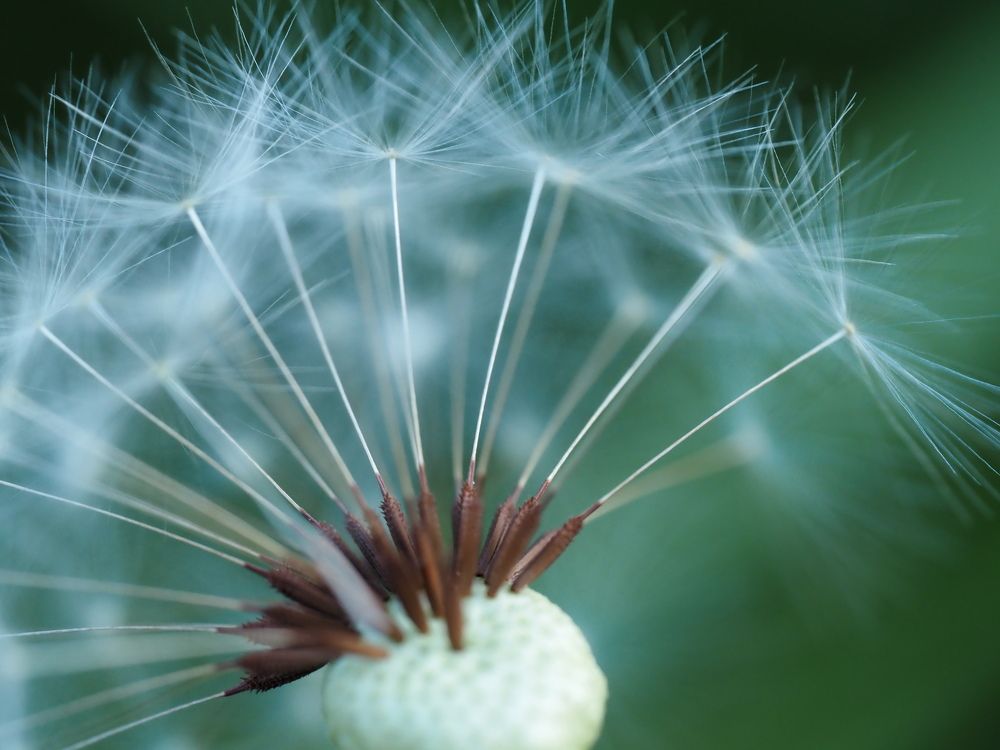 Photograph by Сергей Борисов