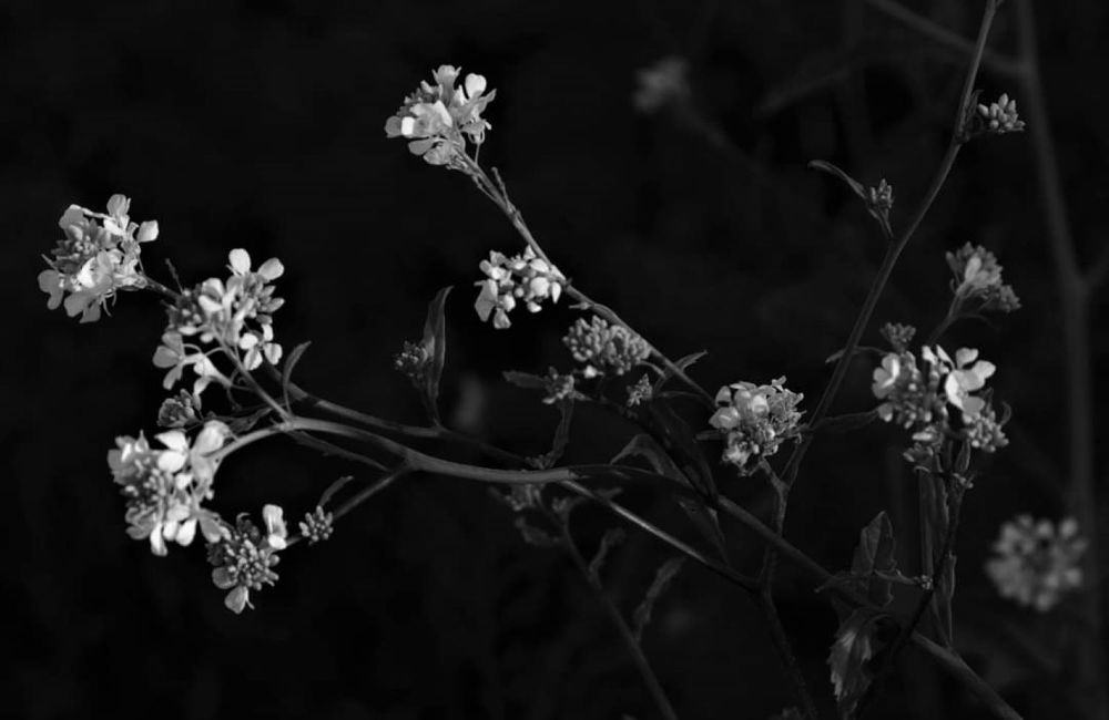 Photograph by Elizma Boonzaaier