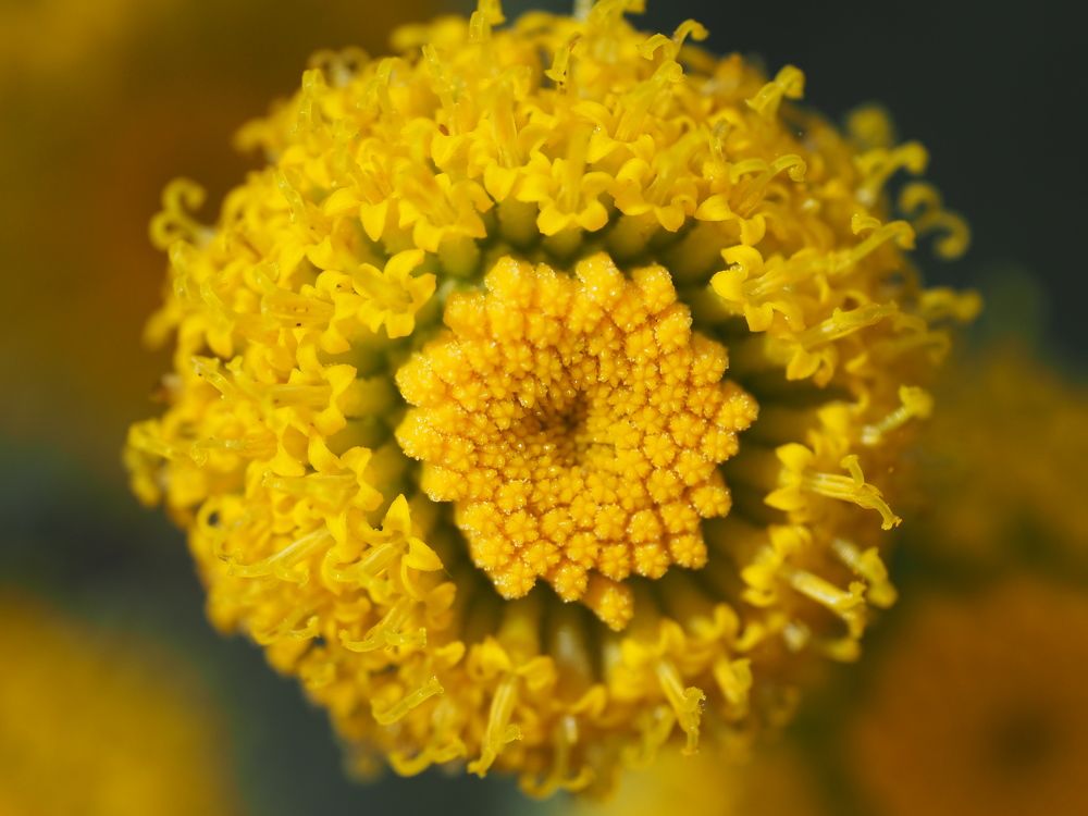 Photograph by Сергей Борисов