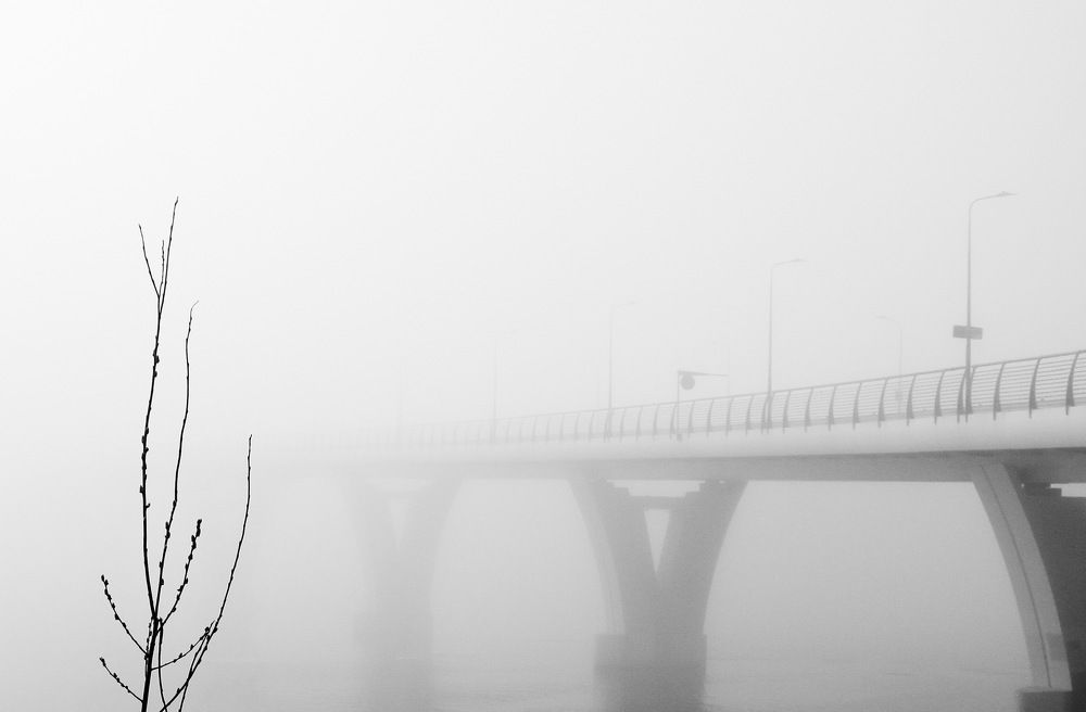 Photograph by Гордий Михаил