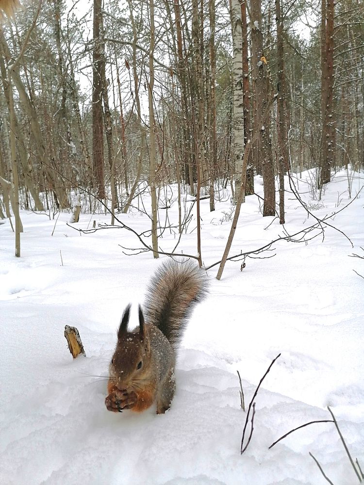 Photograph by Татьяна Бешенкина