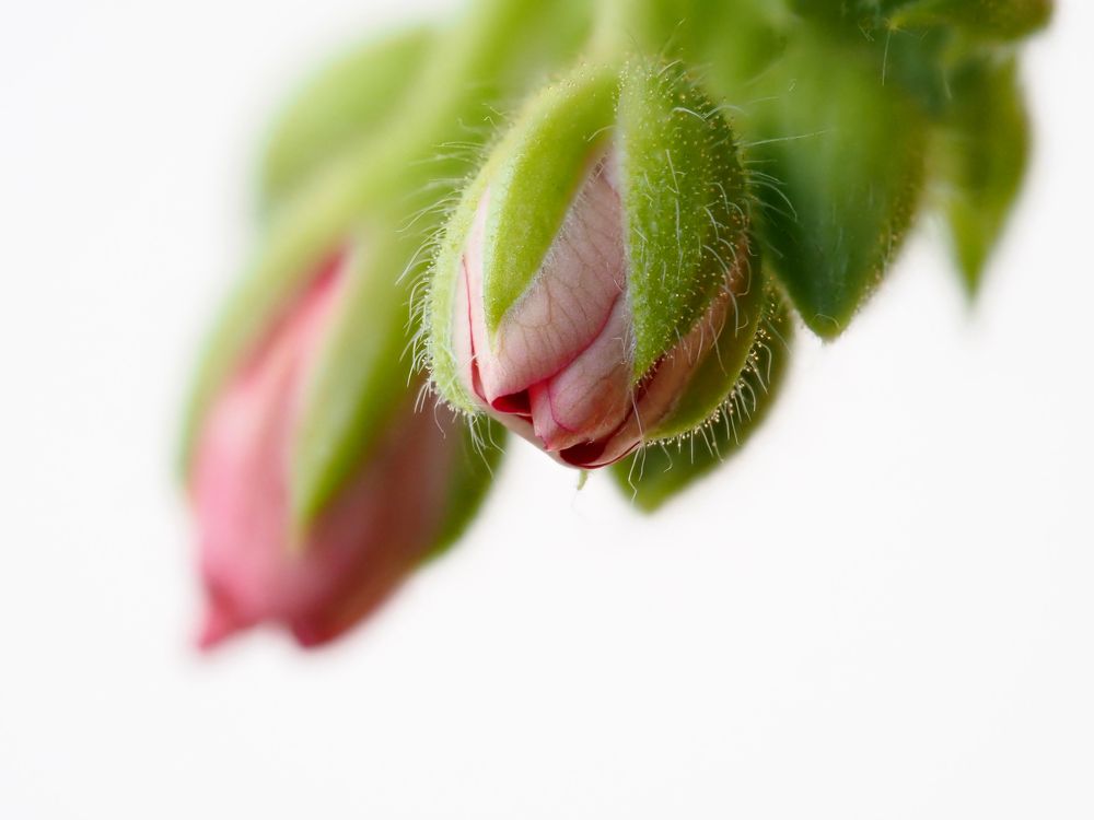 Photograph by Рустам Гиниятуллин