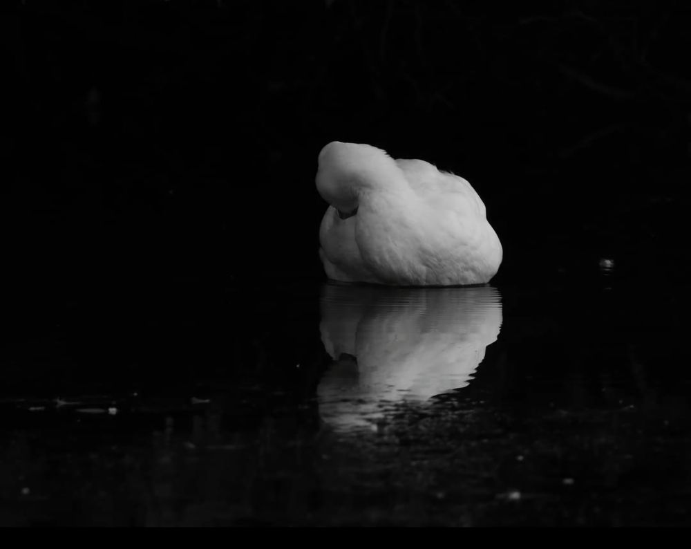 Photograph by Elizma Boonzaaier