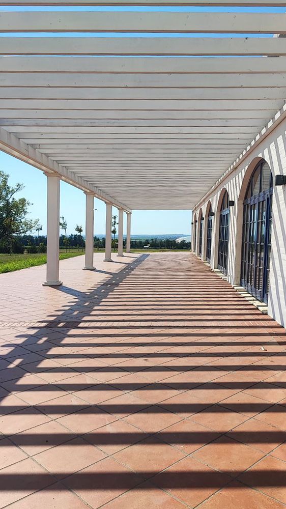 Photograph by Виктория Мамлеева