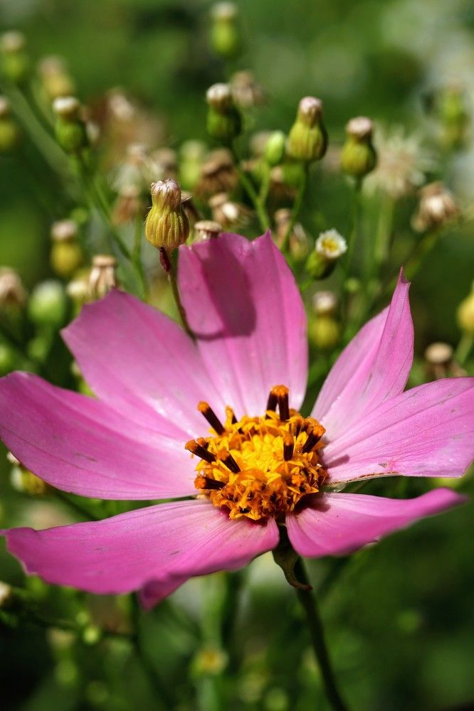 Photograph by Роман Гладкий