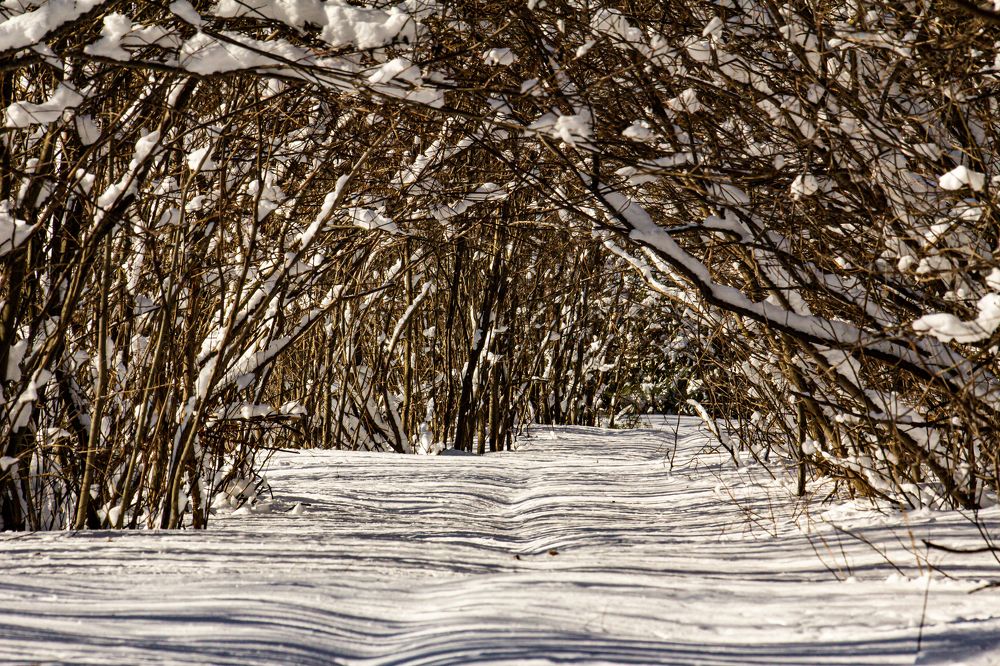 Photograph by Кокорин Алексей