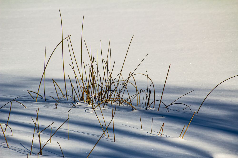Photograph by Кокорин Алексей