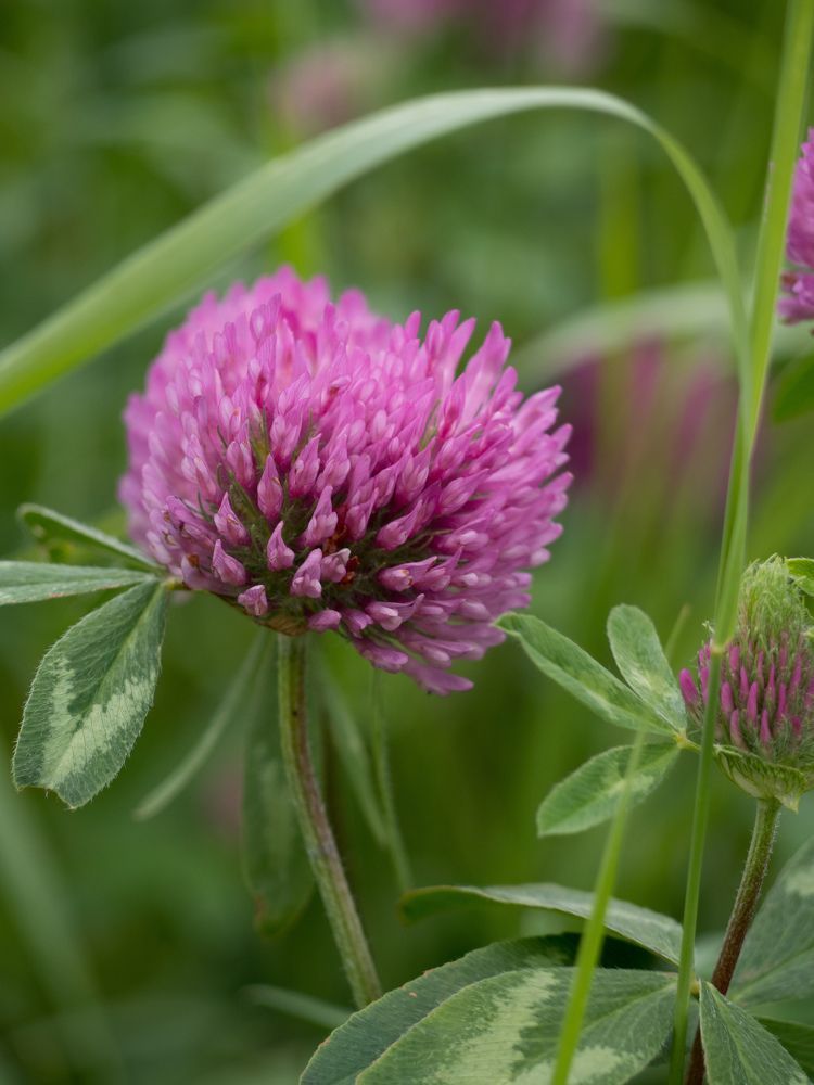 Photograph by Шейко Анна