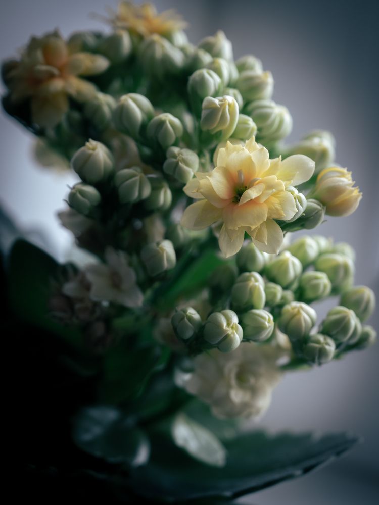 Photograph by Шейко Анна