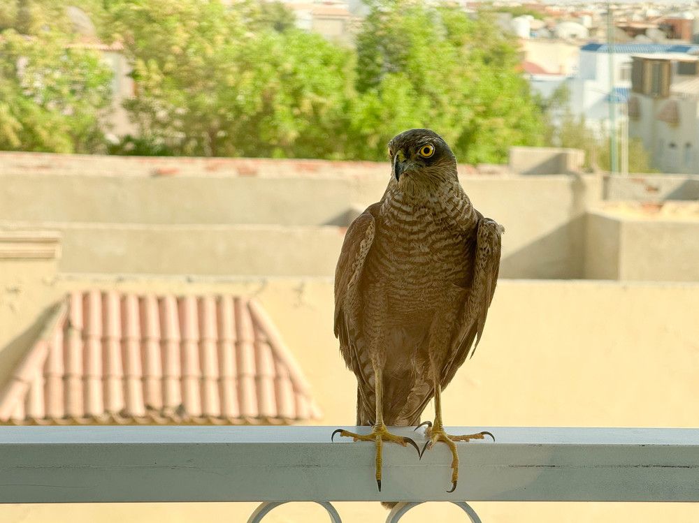 Photograph by Оксана Старостина