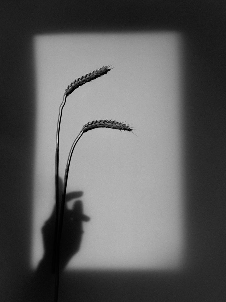 Photograph by Мария Ванина