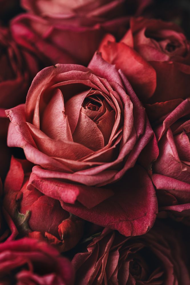 Photograph by Остапенко Алина