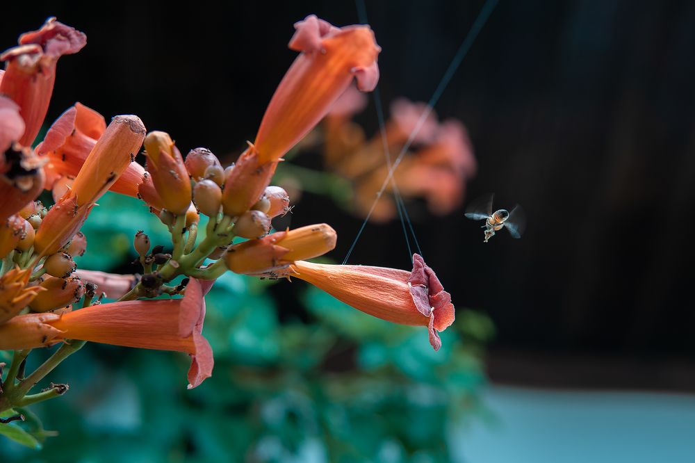 Photograph by Егор Ставер