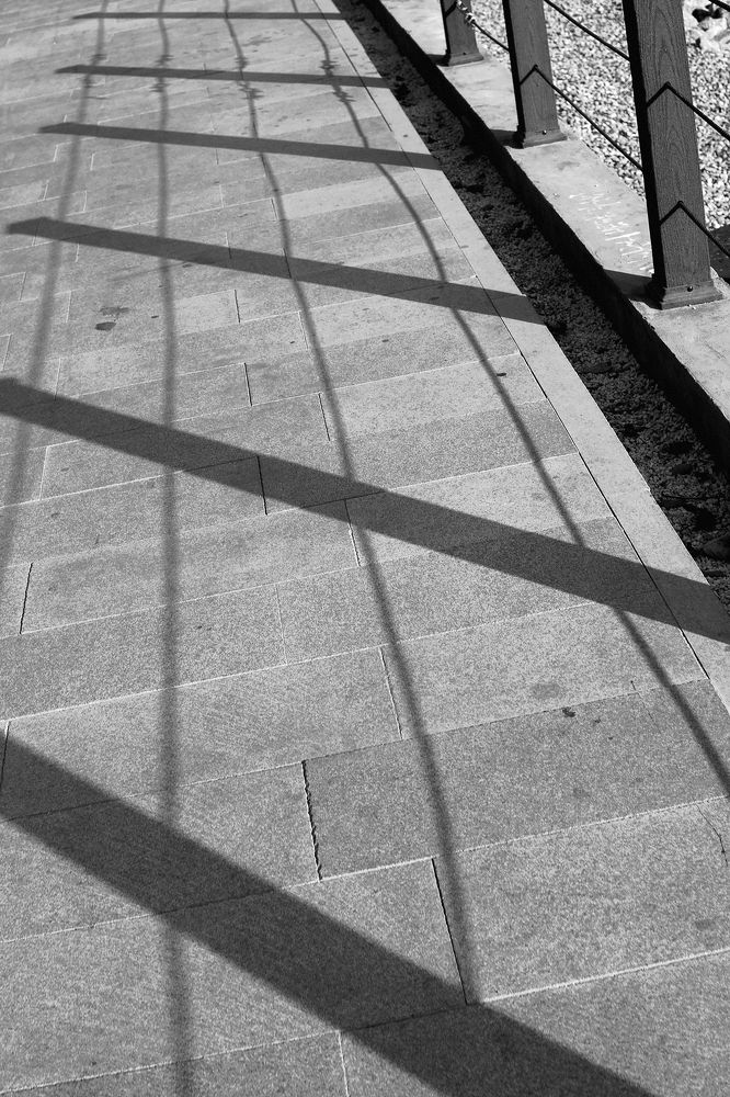 Photograph by Егор Ставер