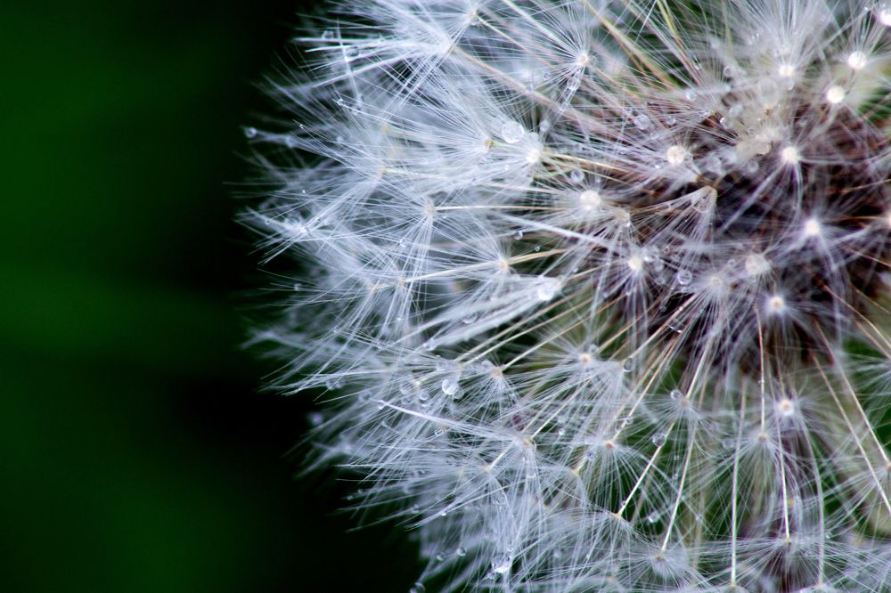 Photograph by Мария Покотилова