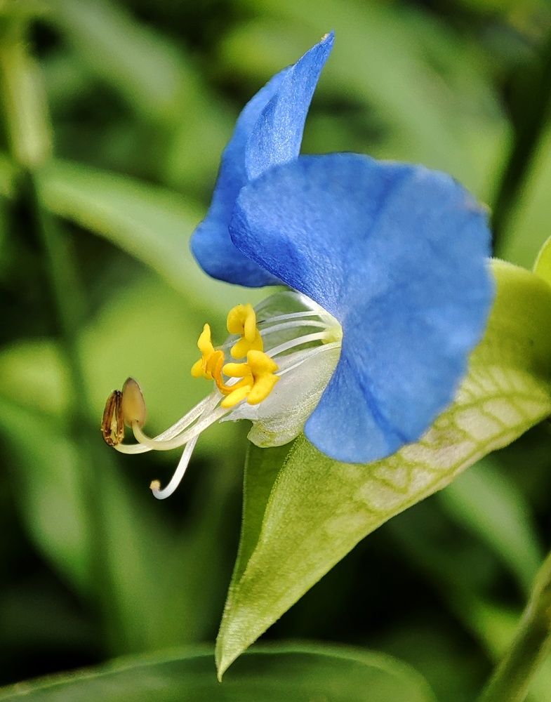 Photograph by Дина Желанова