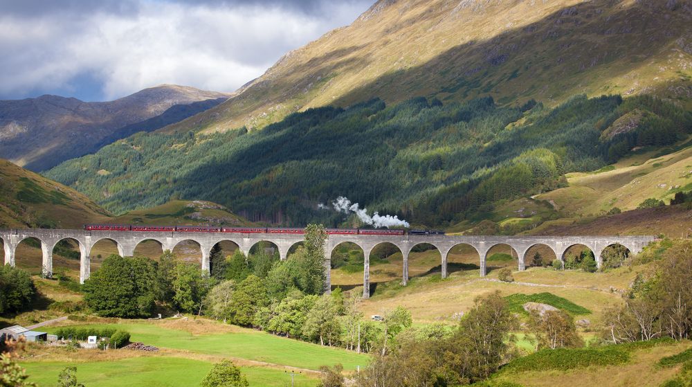 Фотография автора Dmitry Shterenberg