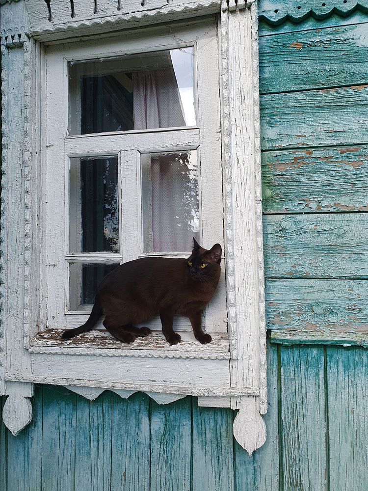 Фотография автора Надежда Лисицына