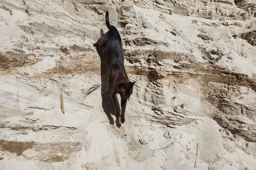 Фотография автора Надежда Лисицына