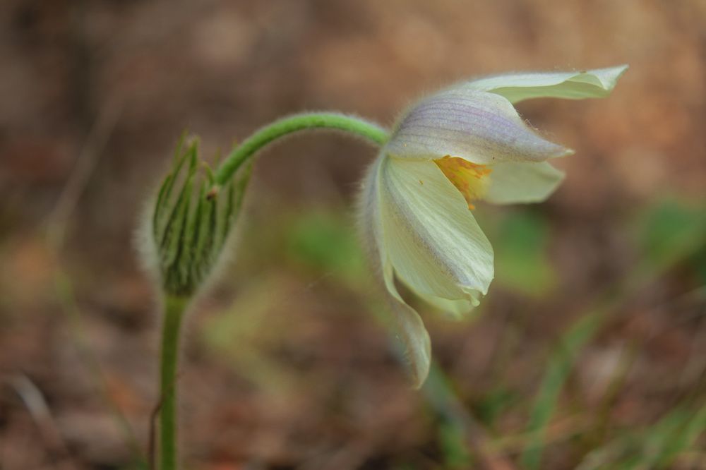 Photograph by Наталья Иванова