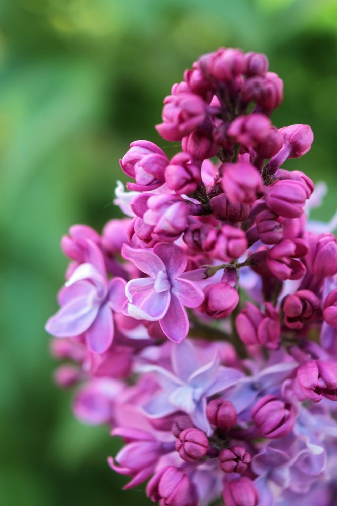 Photograph by Наталья Иванова