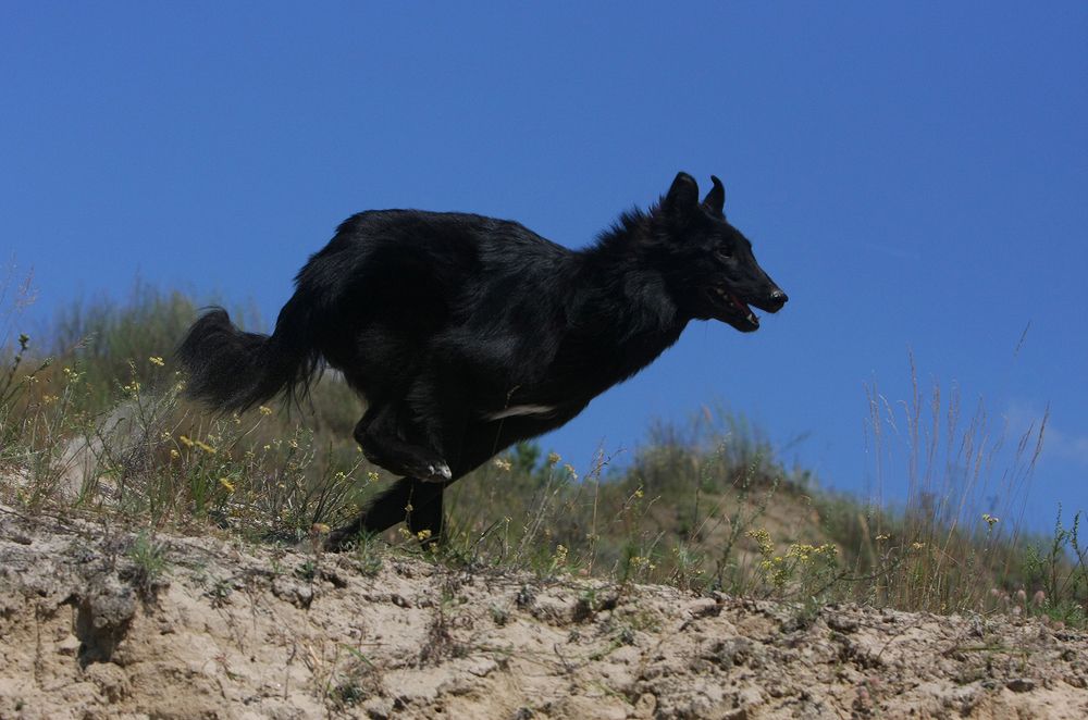 Фотография автора Надежда Лисицына
