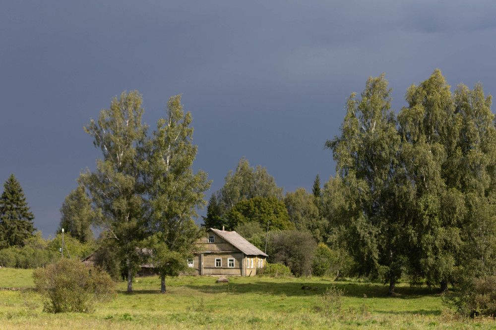 Фотография автора Алина Павлова