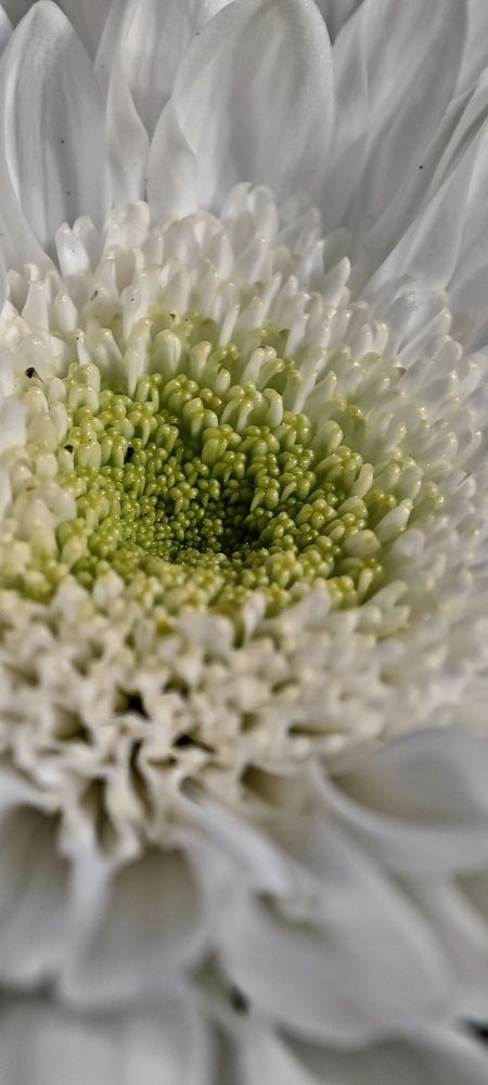 Photograph by Анна Курлова