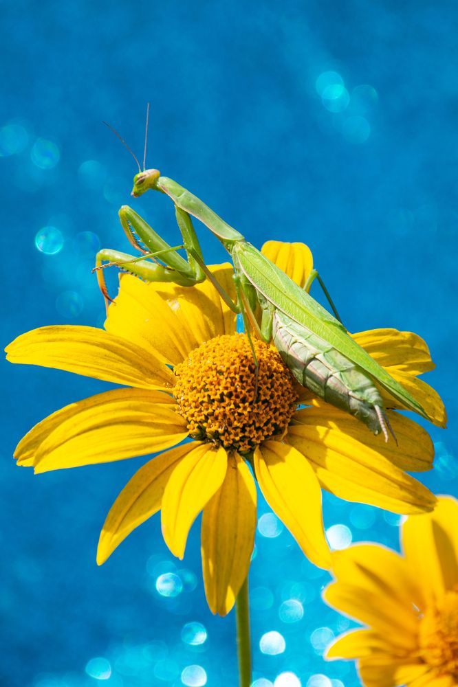 Photograph by Наталья Зверева