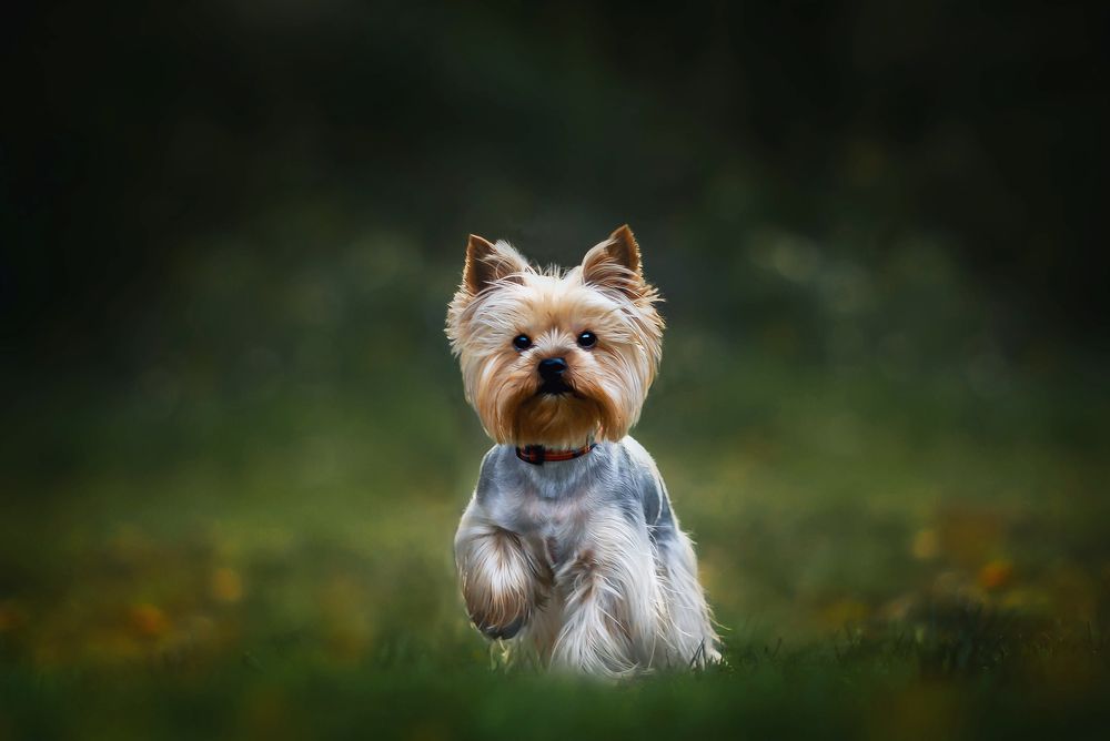 Photograph by katarzyna TRZECKA