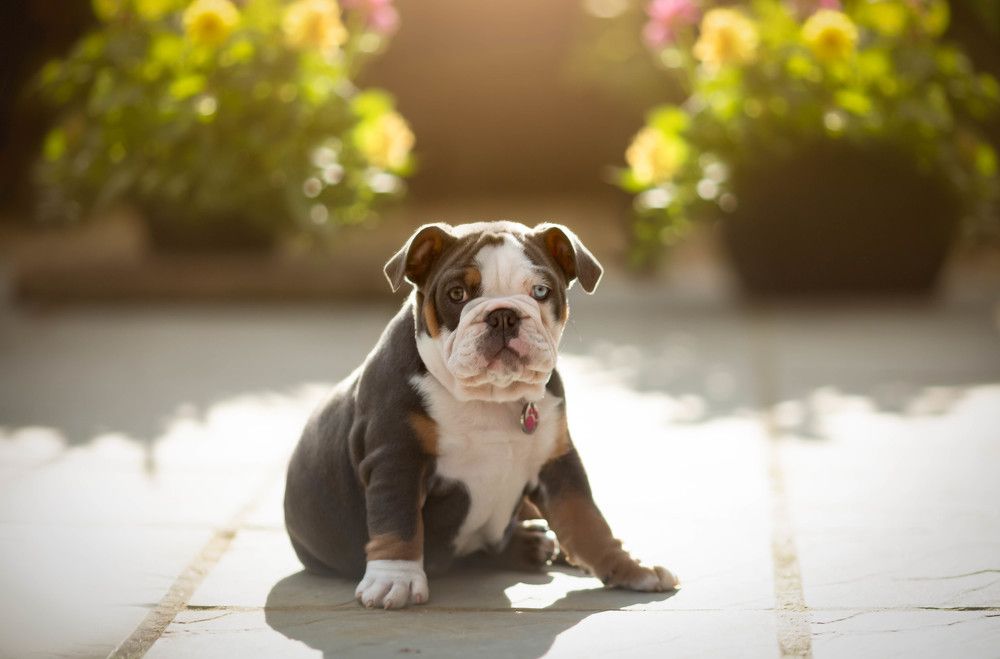 Photograph by katarzyna TRZECKA