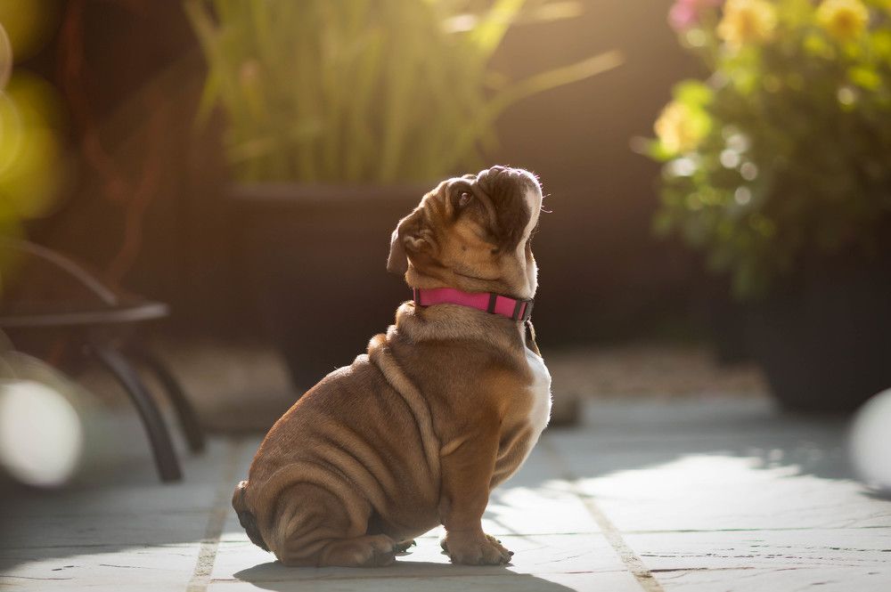 Photograph by katarzyna TRZECKA