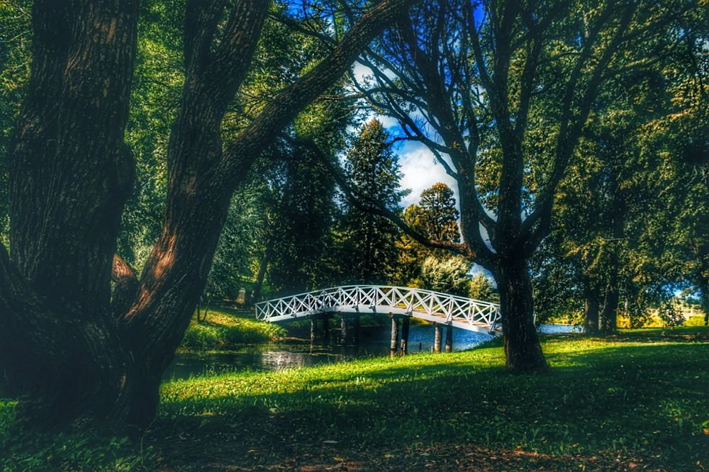 Photograph by Виктория Мамлеева