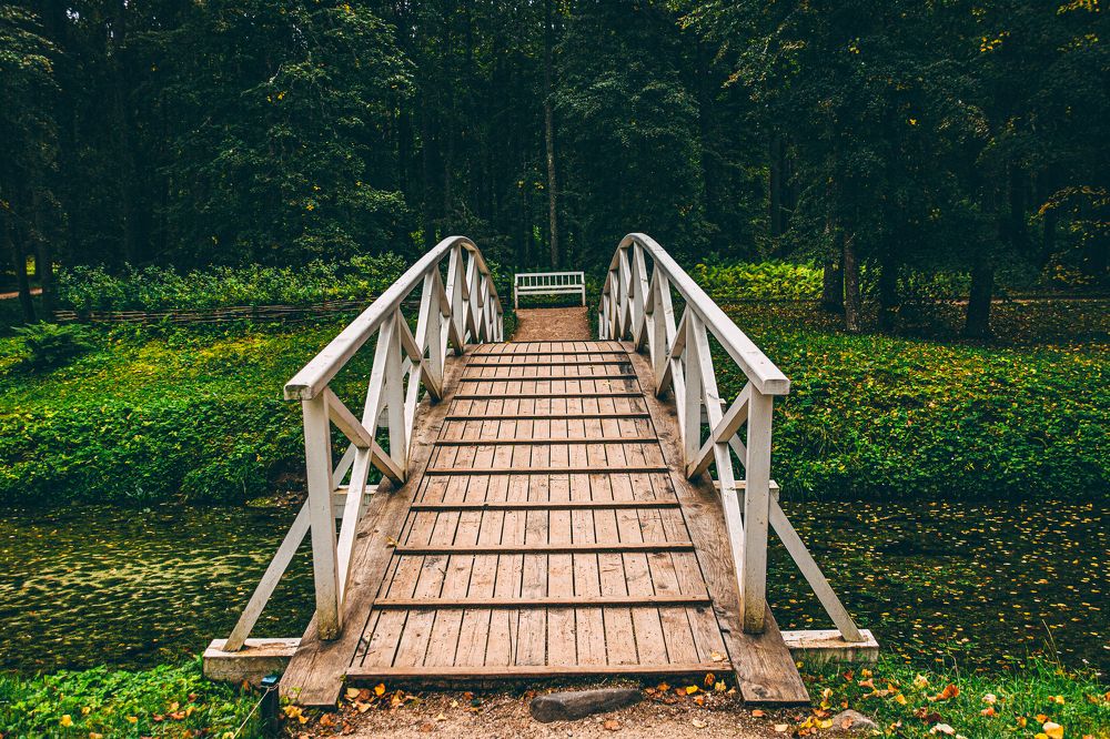 Photograph by Виктория Мамлеева