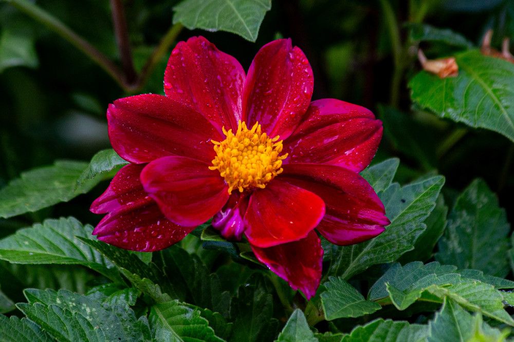 Photograph by Евгений Авдеев