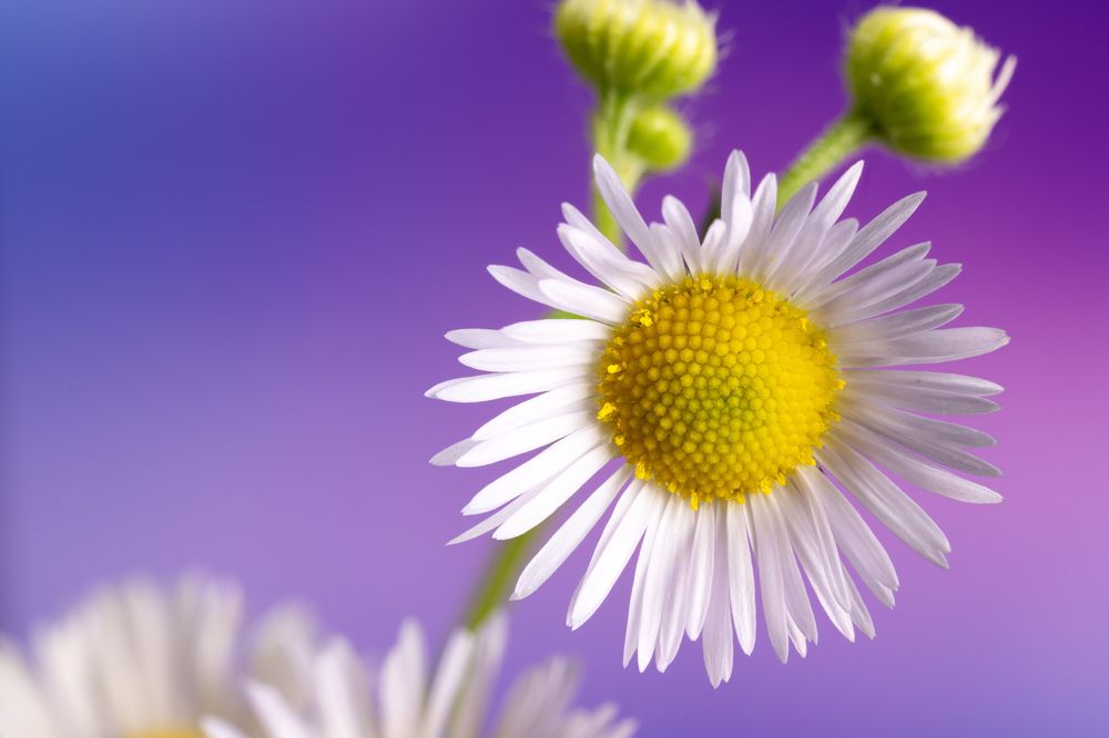 Photograph by Пономарев Илья