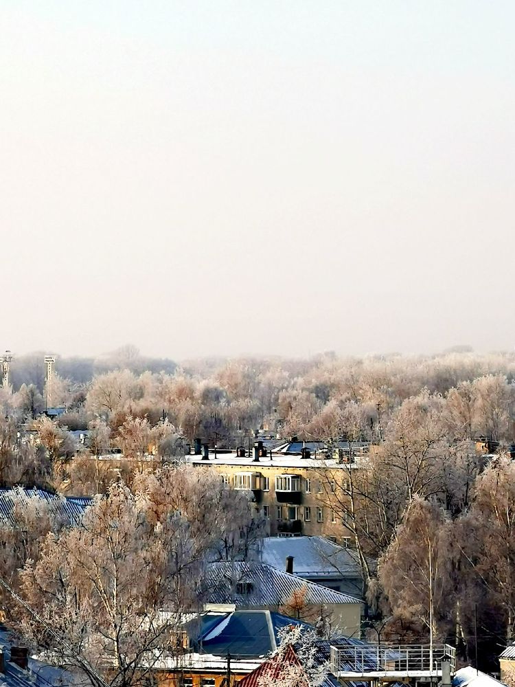 Фотография автора Андрей Богданов