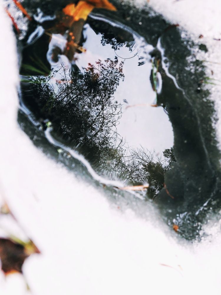 Photograph by Ксения Цветкова