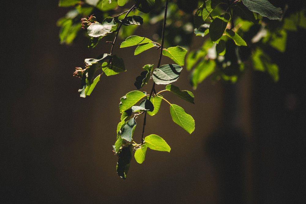 Photograph by Евгений Авдеев