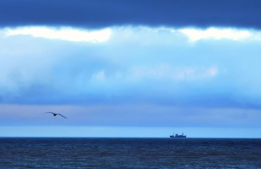 Фотография автора Андрей Богданов