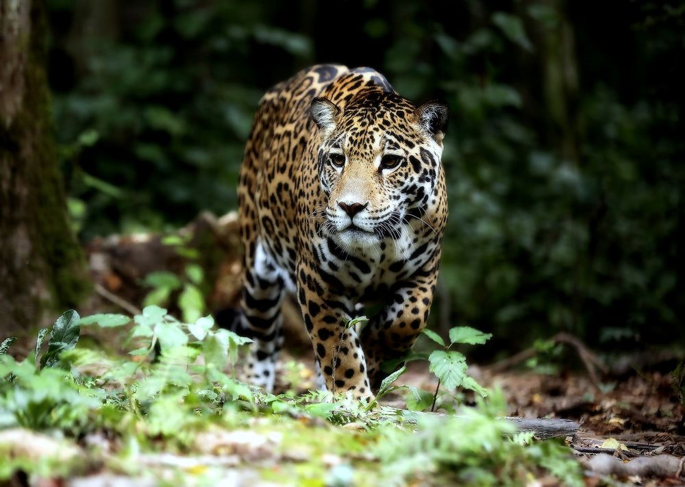 Photograph by Андрей Автухов