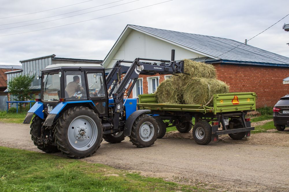 Photograph by Оксана Леонтьева