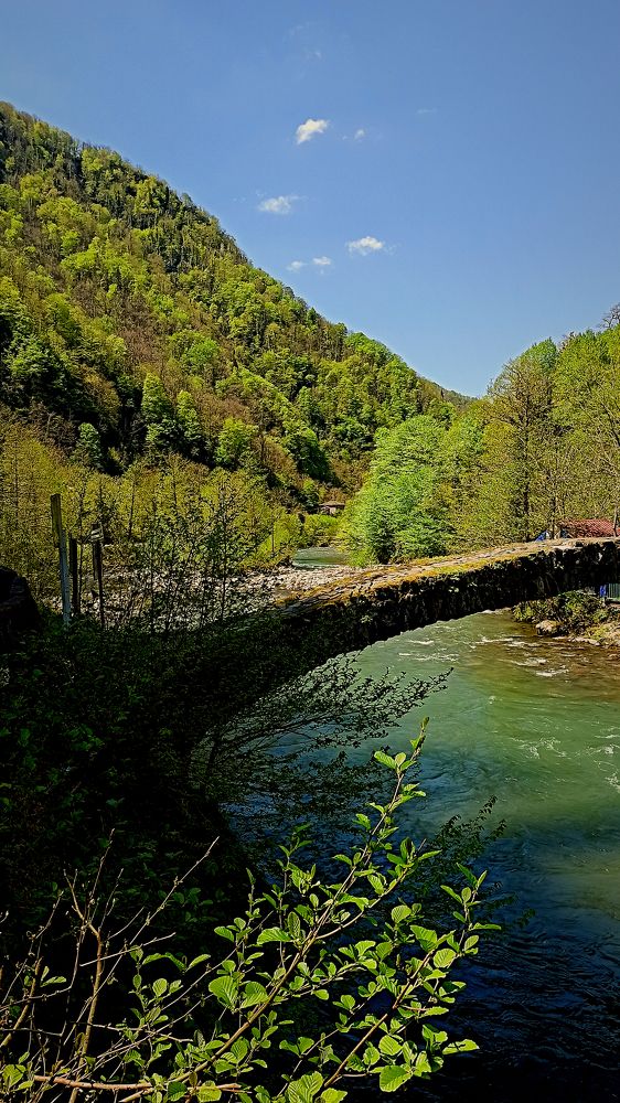 Photograph by Мария Чуланова