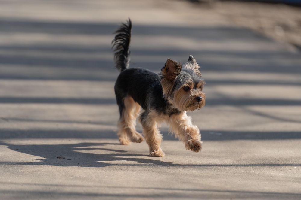 Photograph by Olesya Vladimirova