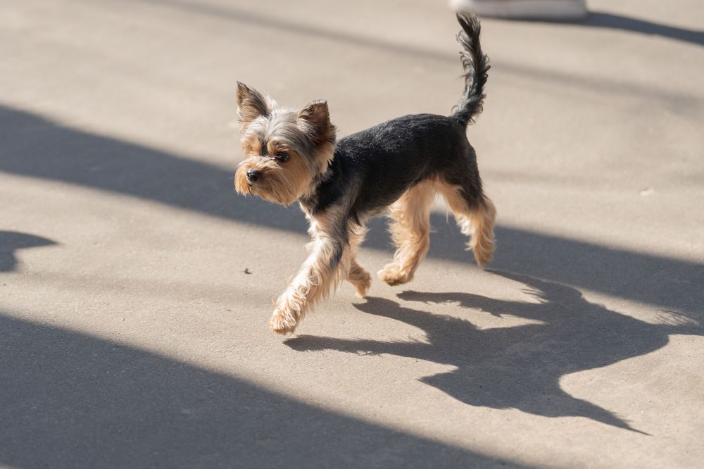 Photograph by Olesya Vladimirova